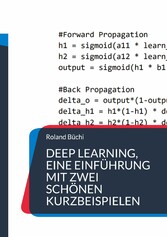 Deep Learning, eine Einführung mit zwei schönen Kurzbeispielen