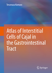 Atlas of Interstitial Cells of Cajal in the Gastrointestinal Tract