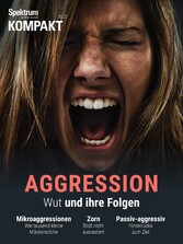 Spektrum Kompakt - Aggressionen