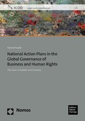 National Action Plans in the Global Governance of Business and Human Rights