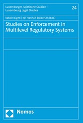 Studies on Enforcement in Multilevel Regulatory Systems