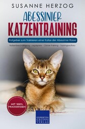 Abessinier Katzentraining - Ratgeber zum Trainieren einer Katze der Abessinier Rasse