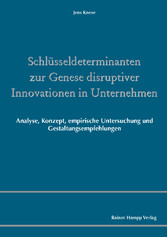 Schlüsseldeterminanten zur Genese disruptiver Innovationen in Unternehmen