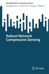 Robust Network Compressive Sensing