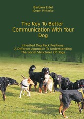 The Key To  Better Communication  With Your Dog