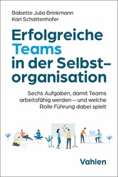 Erfolgreiche Teams in der Selbstorganisation