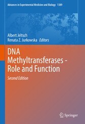 DNA Methyltransferases - Role and Function