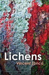 Lichens