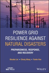 Power Grid Resilience against Natural Disasters