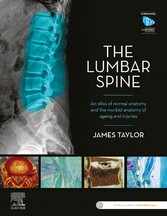 The Lumbar Spine