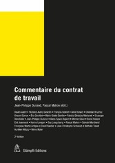 Commentaire du contrat de travail