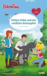 Bibi & Tina - Fohlen Felix und der verflixte Schnupfen