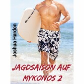 Jagdsaison auf Mykonos 2