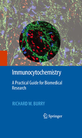 Immunocytochemistry