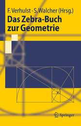 Das Zebra-Buch zur Geometrie