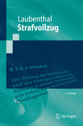 Strafvollzug