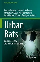 Urban Bats