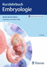 Kurzlehrbuch Embryologie