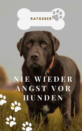 Keine Angst vor Hunden