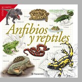 Anfibios y reptiles