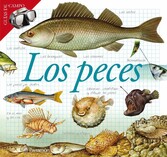 Los peces