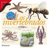 Los invertebrados