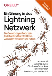 Einführung in das Lightning Netzwerk