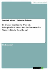 Ist Wasser eine fiktive Ware im Polanyi'schen Sinne? Der Stellenwert des Wassers für die Gesellschaft