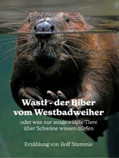 Wastl, der Biber vom Westbadweiher