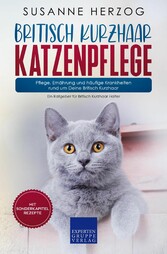 Britisch Kurzhaar Katzenpflege - Pflege, Ernährung und häufige Krankheiten rund um Deine Britisch Kurzhaar