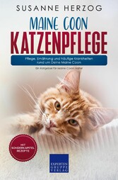 Maine Coon Katzenpflege - Pflege, Ernährung und häufige Krankheiten rund um Deine Maine Coon