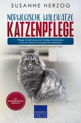 Norwegische Waldkatze Katzenpflege - Pflege, Ernährung und häufige Krankheiten rund um Deine Norwegische Waldkatze