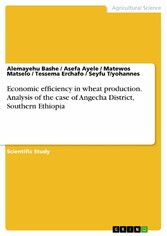 Economic efficiency in wheat production. Analysis of the case of Angecha District, Southern Ethiopia