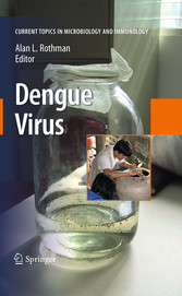 Dengue Virus