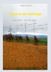 Camino de Santiago