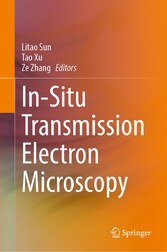 In-Situ Transmission Electron Microscopy