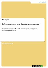 Erfolgsmessung von Beratungsprozessen