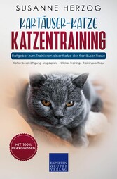 Kartäuser Katzentraining - Ratgeber zum Trainieren einer Katze der Kartäuser Rasse