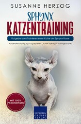 Sphynx Katzentraining - Ratgeber zum Trainieren einer Katze der Sphynx Rasse