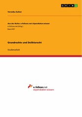 Grundrechte und Deliktsrecht