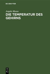 Die Temperatur des Gehirns