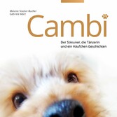 Cambi