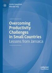 Overcoming Productivity Challenges in Small Countries