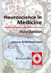 Neuroscience in Medicine