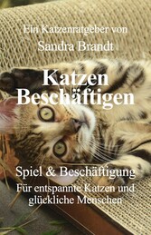 Katzen Beschäftigen