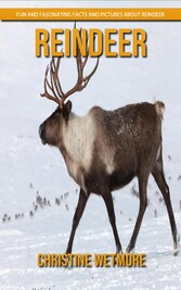 Reindeer - Fun and Fascinating Facts and Pictures About Reindeer