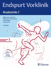 Endspurt Vorklinik: Anatomie I