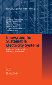 Innovation for Sustainable Electricity Systems