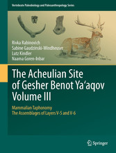 The Acheulian Site of Gesher Benot  Ya'aqov  Volume III