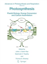 Photosynthesis